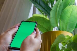 Hands holding smartphone with green screen next to indoor plants photo