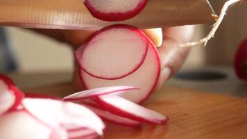 Slicing radishes for fresh salad preparation at home kitchen video