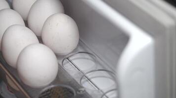 Storing fresh eggs in the refrigerator for longer shelf life video