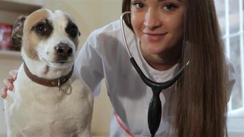 A dedicated female veterinarian gently examines a dog, showcasing her expertise and care in a bright clinic. With her stethoscope in place, she attentively listens to the canine's heartbeat, embodying the bond between pet and caregiver video