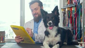 Happy healthy dog resting on examination table while vet examines video