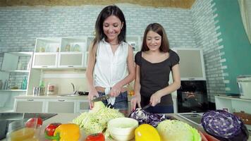 Joyful girls greet each other while slicing fresh cabbages for a delightful picnic video