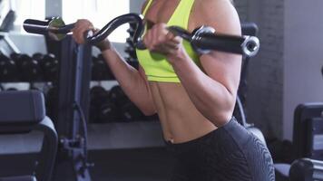 Athletic woman performing biceps curls with an ez curl bar in the gym video