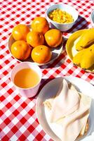 Picnic table with fruit, cheese sandwich, and juice on checkered cloth photo