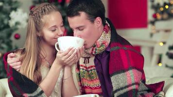 In a beautifully decorated Christmas room, a young couple wrapped in a warm blanket shares a tender moment, sipping from a large cup. Their joyful smiles and affectionate gestures radiate warmth and love, making this festive scene truly enchanting video