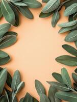 Ultra realistic soft sage leaves forming a frame on minimal background photo
