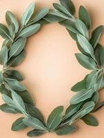 Ultra realistic 8k sage leaves arrangement on neutral background for nature inspired designs photo