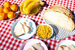 Outdoor picnic table with sliced bread, cheese, fruit, and corn on red checkered cloth photo