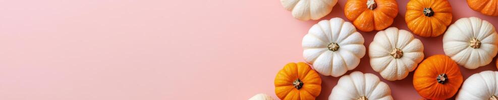 Collection of mini pumpkins in various colors on pink background for autumn decor photo