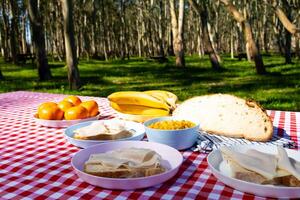 Outdoor picnic in forest with sandwiches, fruit, and bread on checkered tablecloth photo