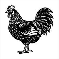 a chicken standing in profile vector