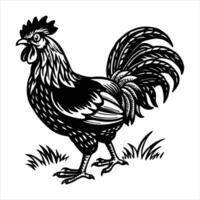 Rooster Strutting Stock Chicken vector