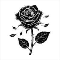 Single Rose Bloom vector