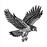 Hawk Wings Bird Prey Vectors