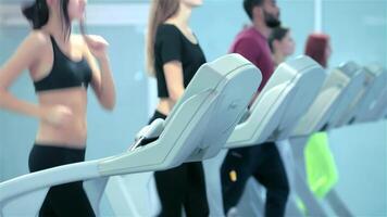 Dynamic athletes running on treadmills in a vibrant gym video