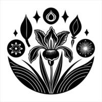 discuss the meaning of iris flower vector