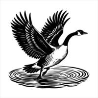 Goose Landing Water Stock vector