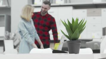 Couple joyfully exploring furniture options in a stylish store video