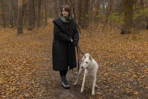 woman walking with white dog in autumn park photo