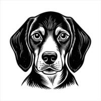 Headshot Beagle Stock vector