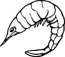 Curved Line Drawing Of A Single Shrimp Seafood Illustration vector
