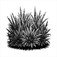 Frosty blades of grass on a cold winter vector