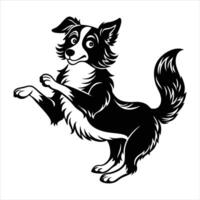Border Collie Pose vector