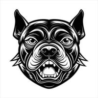 Pop Illustration Dog Breed vector