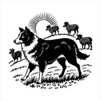 Border Collie herding sheep vector