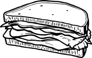 Detailed Line Drawing Of A Single Bulb Of Garlic With Cloves vector
