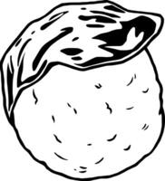A black and white drawing of a nut vector