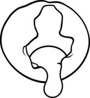 A Simple Line Drawing Of A Partially Peeled Banana Bunch vector