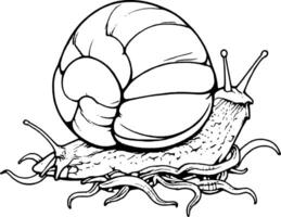 Stylized Snail Illustration with Tentacles and Iridescent Shell on a vector