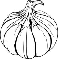 Detailed Line Drawing Of Two Ears Of Corn One Shucked vector