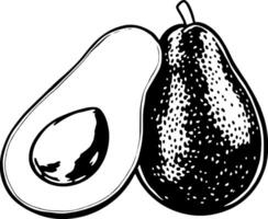 Halved Avocado And Whole Avocado Illustration vector