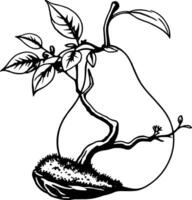 Stylized Pear Illustration with Branch and Leaves in Black and White Outline Art vector