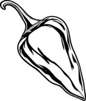 Striking Black And White Graphic Illustration Of A Single Jalapeo Pepper With Seeds Inside vector