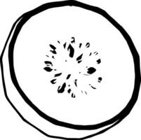 Artistic Cross-Section Of A Pale Melon Showing Seeds vector