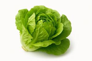 A green lettuce is shown on a white background photo