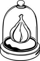 Elegant Garlic Bulb Displayed Under Glass Cloche Black And White Line Art Illustration vector