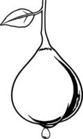 A pear with leaves and a drop of water vector