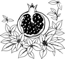 Half Pomegranate with Red Seeds and Floral Arrangement Black and White Line Art Illustration vector