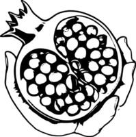 Artistic Depiction Of Hands Holding A Sectioned Pomegranate With Visible Seeds On vector