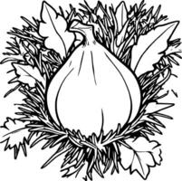 An onion and leaves coloring page vector