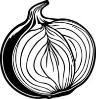 Halved Onion Detailed Line Art Illustration of a Vegetable vector