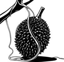 Spiky Tropical Fruit Hanging From a Branch in Black and White Line Art Illustration vector