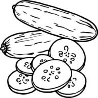 Fresh Cucumbers Whole and Sliced Ready For Use vector