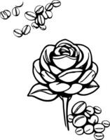 Elegant Rose Illustration With Scattered Coffee Beans On A Clean vector