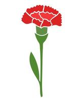 Illustration of red carnation on white background vector