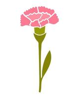 Pink carnations flower isolated in white background vector